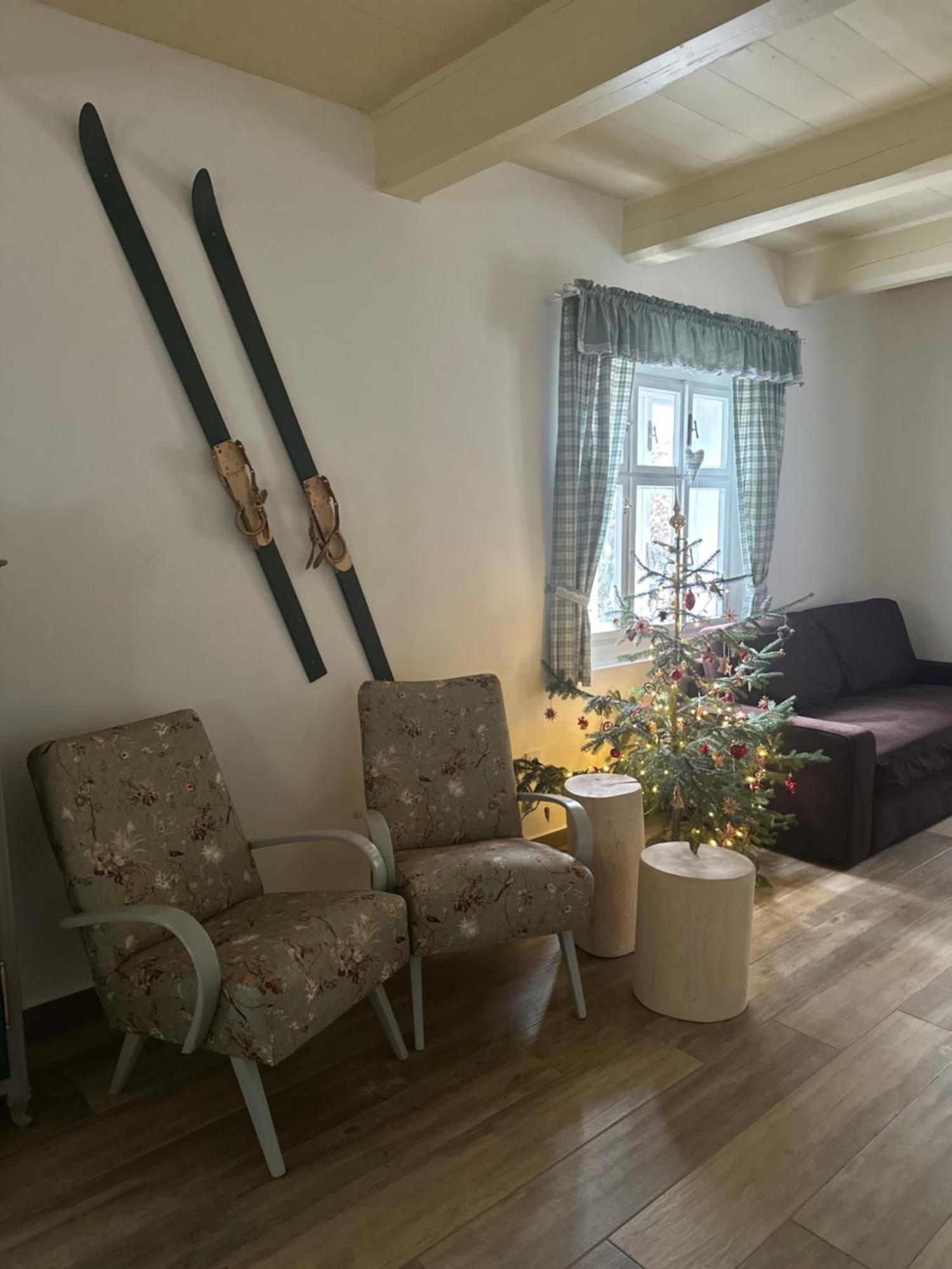 Chalupa Janovice Rudník Exteriér fotografie